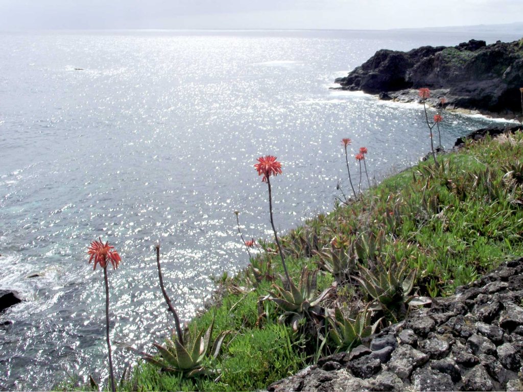 Azores coast